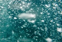 high density call management