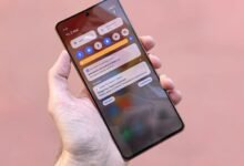 high volume toll free number