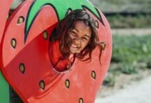 small batch activity summary