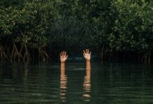 wurduxalgoilds contents unknown