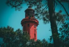 wurduxalgoilds lead free status