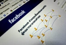 picuki social media platform